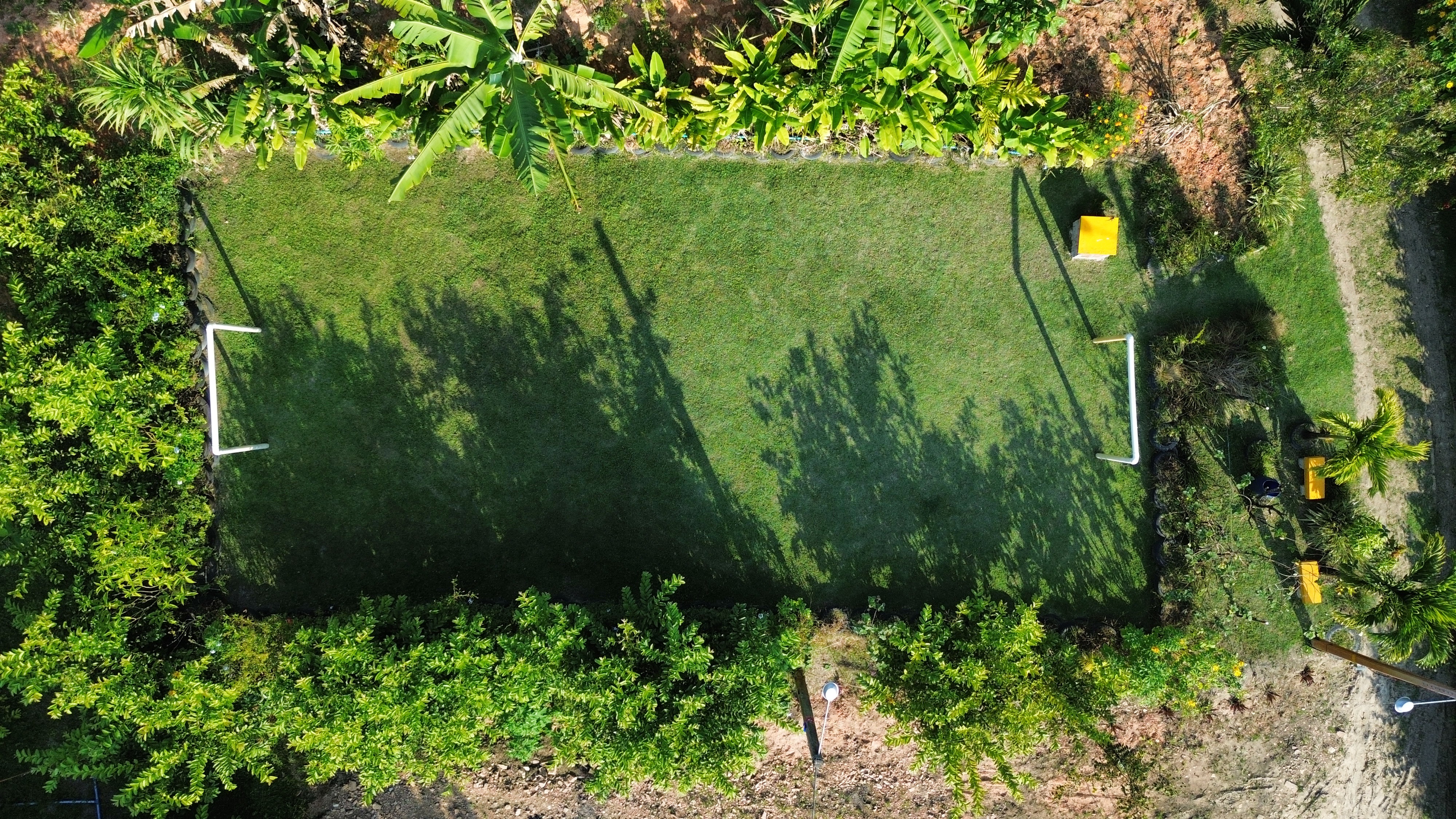 foto6