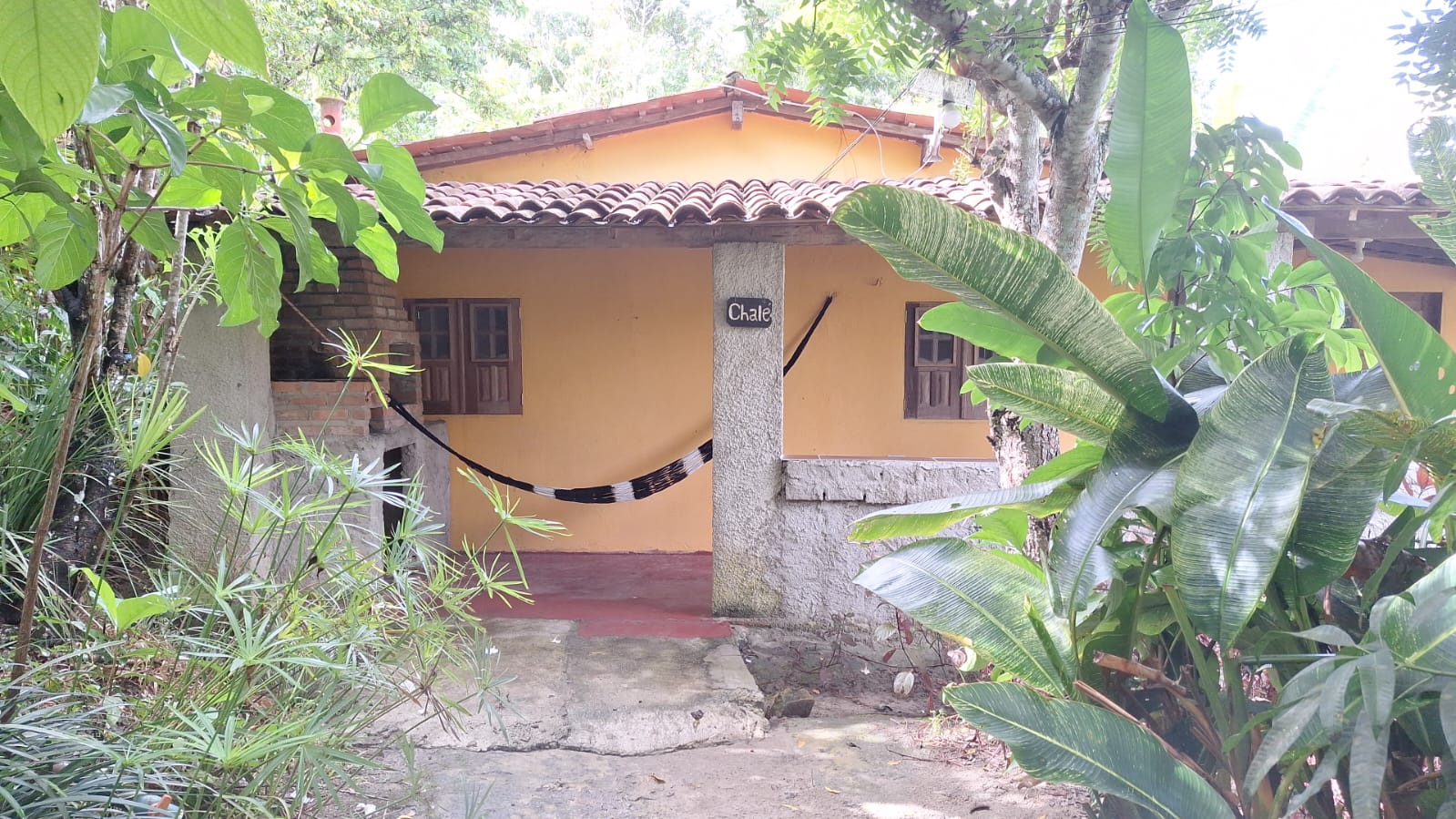 foto6